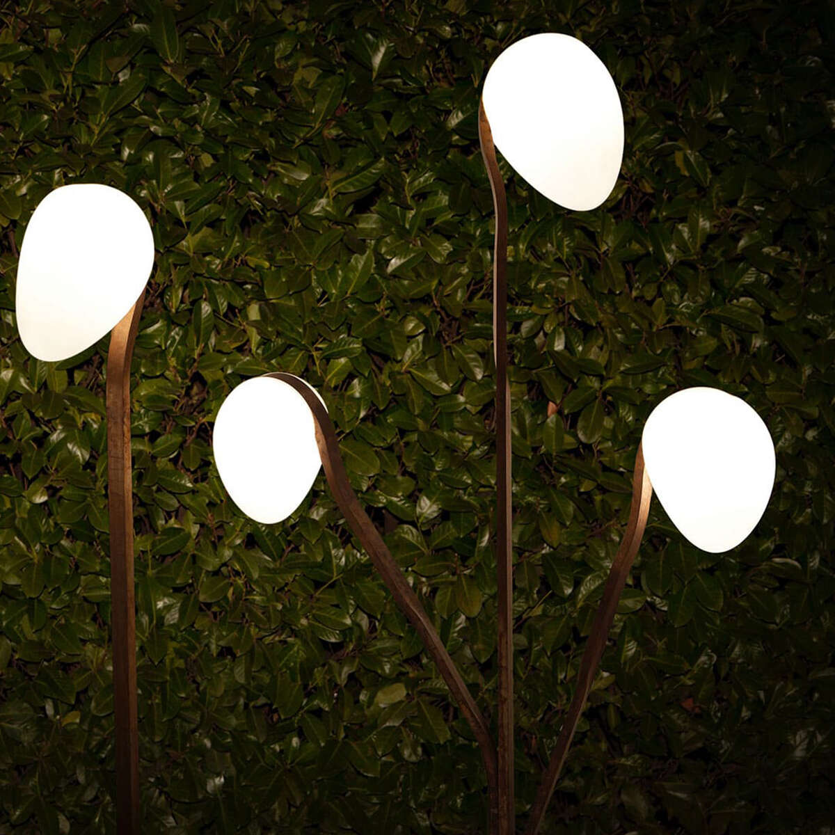 Exteta Tree Light at Night The Modern Garden Company